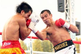 Marquez
